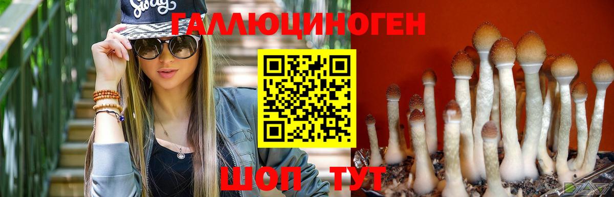Псилоцибиновые грибы Psilocybine cubensis Изобильный